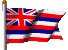 Flags/hawaiiCzz.gif