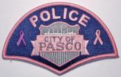 PATCH/PATCH042.jpg
